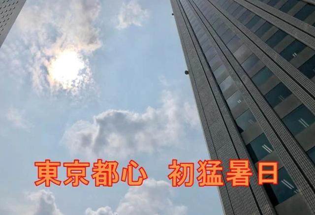 1622690646613071564.jpg 444.jpg